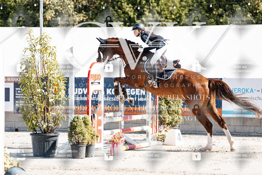 CK905210 | Turnierfotografie Pferdefotografie Trier Rheinland-Pfalz Pferdesport Reitsport Tierfotografie Sportfotografie Pferdevideo Pferdevideografie Equestrianvideography equestrianphotography  - Realisiert mit Pictrs.com