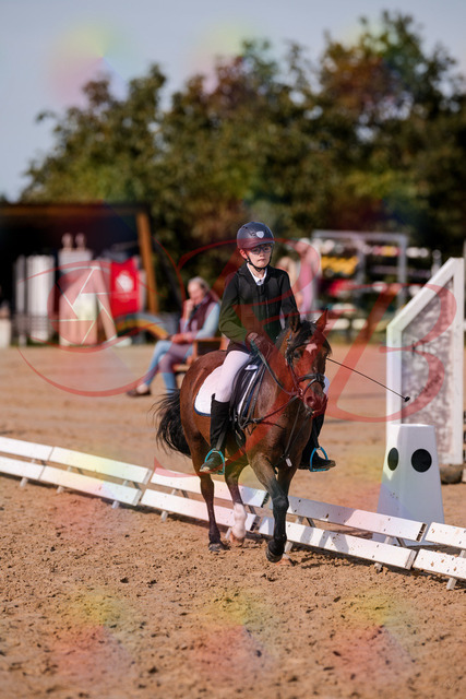 2026_10_03_Siefer-Hof_122043_Z81_21054246 | Professionelle Reitsport-, Turnier- und Eventfotografie von Robert Broda. Galerien mit ausgewählten und bearbeiteten Bildern direkt online ansehen und bestellen.