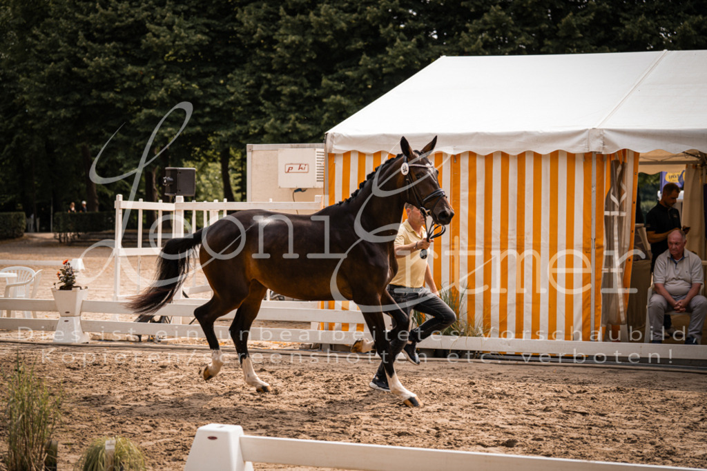 6.Fr00030 | Leoni Ertmer Photography - Realisiert mit Pictrs.com