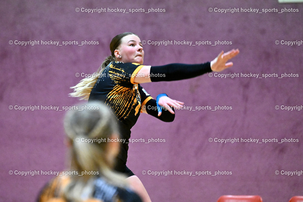 ASKÖ Volley Eagles Villach vs. VC Hausmannstätten | #4 KOOPMAN Marjon ASKÖ Volley Eagles Villach, ASKÖ Volley Eagles Villach vs. VC Hausmannstätten, ASKÖ Volley Eagles Villach vs. VC Hausmannstätten am 01.02.2025 in Villach (Ballspielhalle Lind), Austria, (Photo by Bernd Stefan)