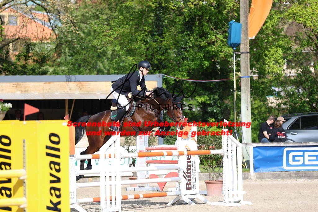 A40A2766 | lmwpictures - Realisiert mit Pictrs.com