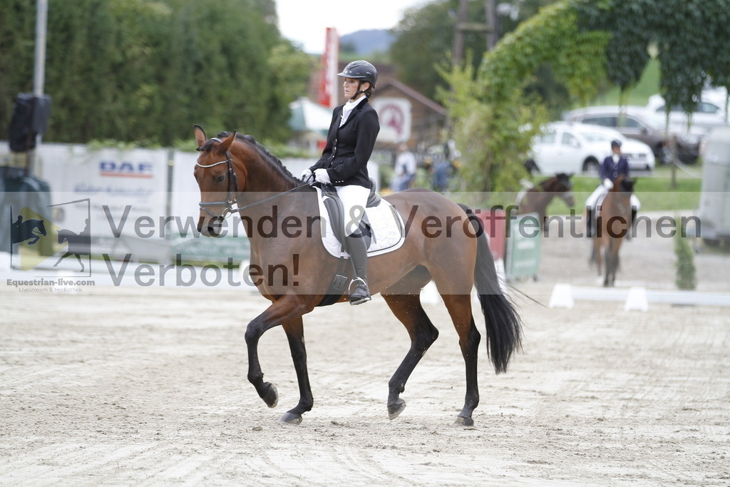 _MG_8984 | equestrian-live-com