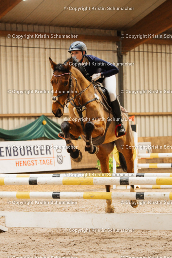 Springpferde A_-18 | Kristin Schumacher Photography