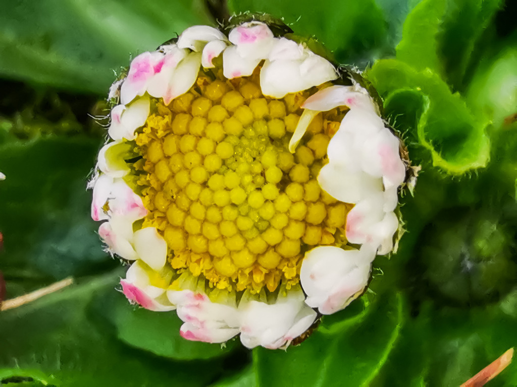 PSX_20230221_224407 | mtkfoto_ - Realisiert mit Pictrs.com