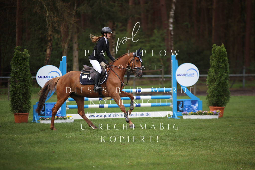 IMGT2752 | pl-fotografie