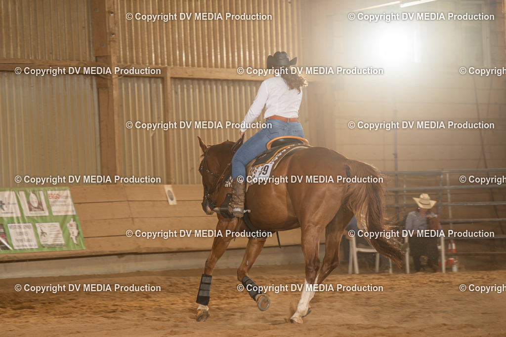 NID03622 | dv-media-shop - Realisiert mit Pictrs.com