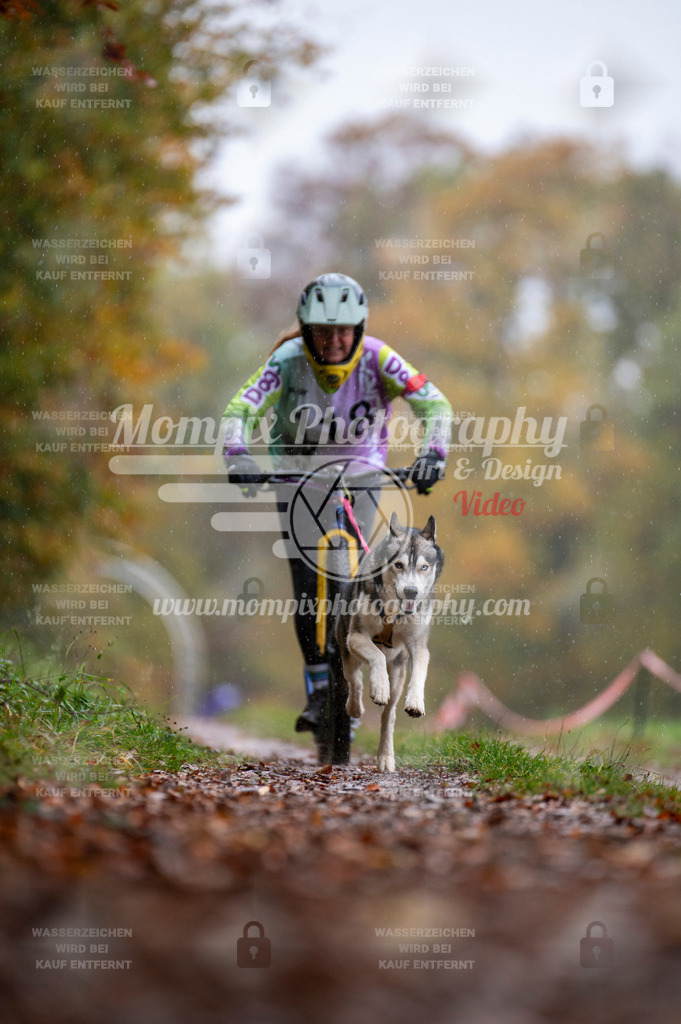 DBT_DAKM_SA_4_11_2023_DS1-62 | mompixphotography