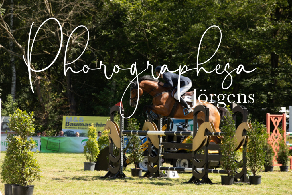 IMG_9101 | photographesa-joergens - Realisiert mit Pictrs.com