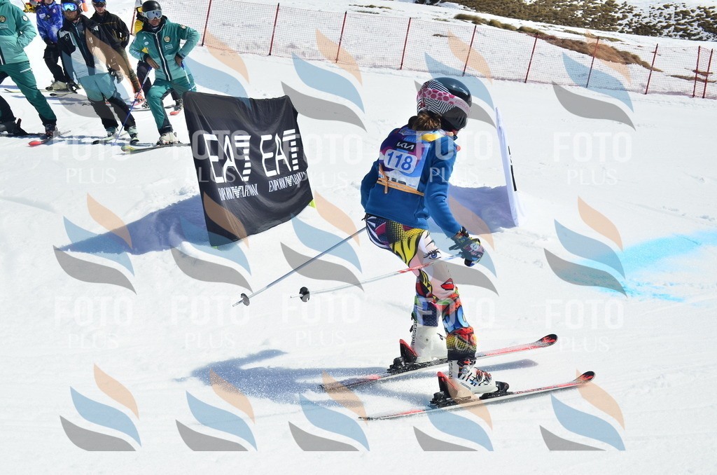 _ELE0716 | holidayphoto