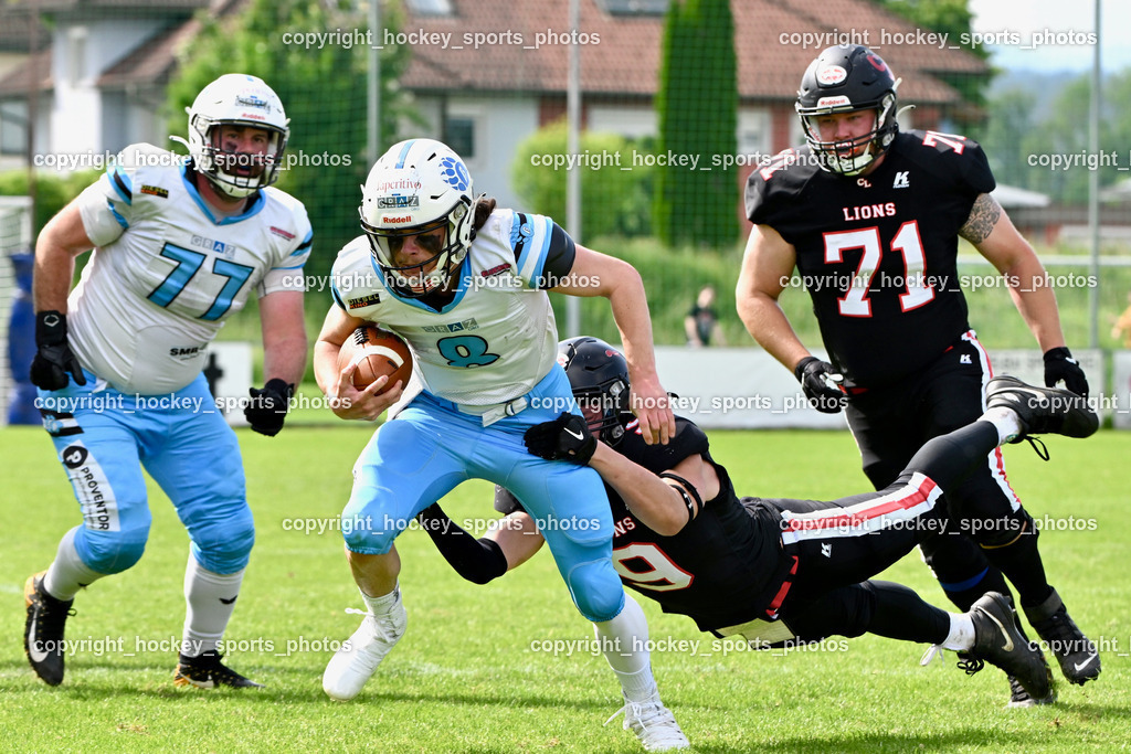 Carinthian Lions vs. Styrian Bears | Carinthian Lions vs. Styrian Bears, Carinthian Lions vs. Styrian Bears am 20.05.2024 in Klagenfurt (ASV Sportplatz), Austria, (Photo by Bernd Stefan)
