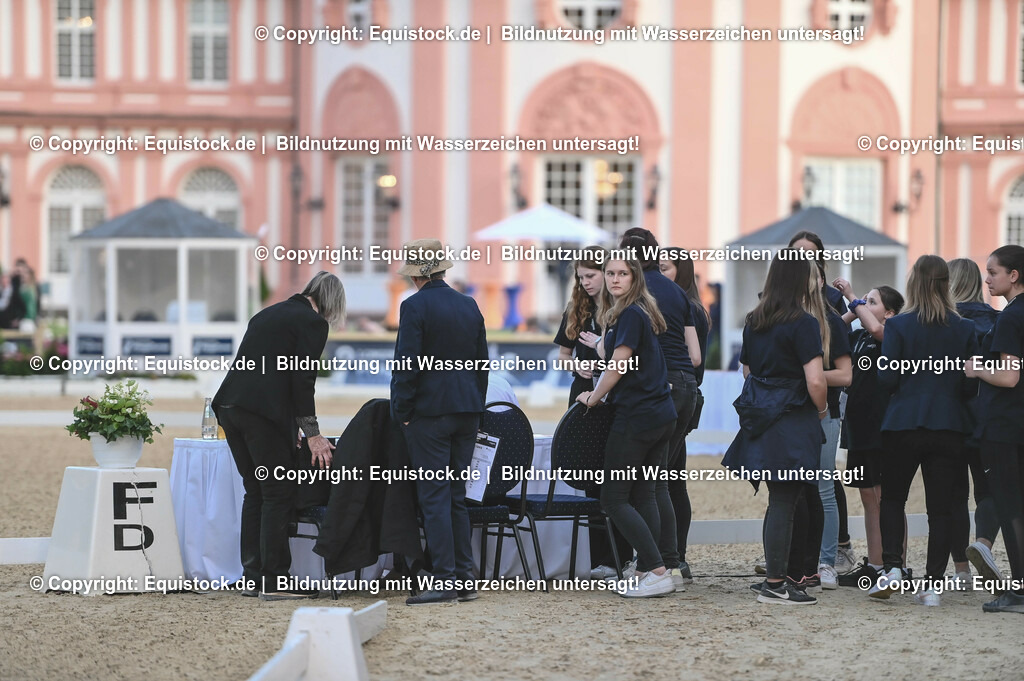 D78_3379 | equistock