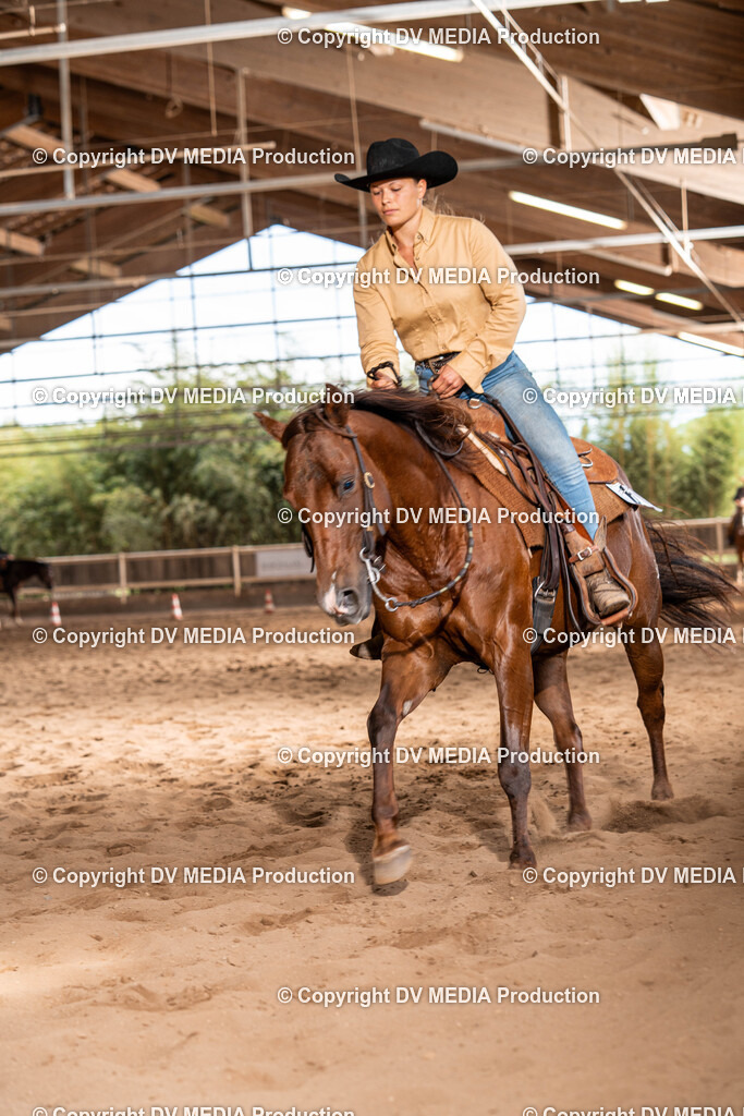 Erbach Tag 1-1100 | dv-media-shop - Realisiert mit Pictrs.com