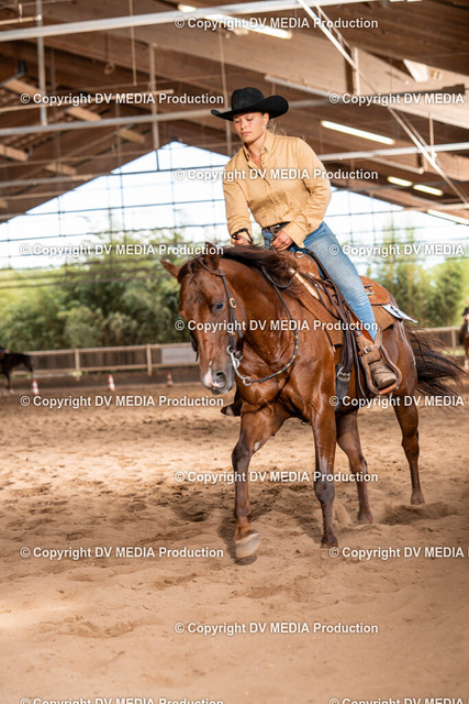 Erbach Tag 1-1100 | dv-media-shop - Realized with Pictrs.com