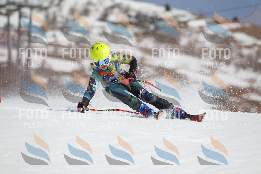 _U3G0868 | holidayphoto