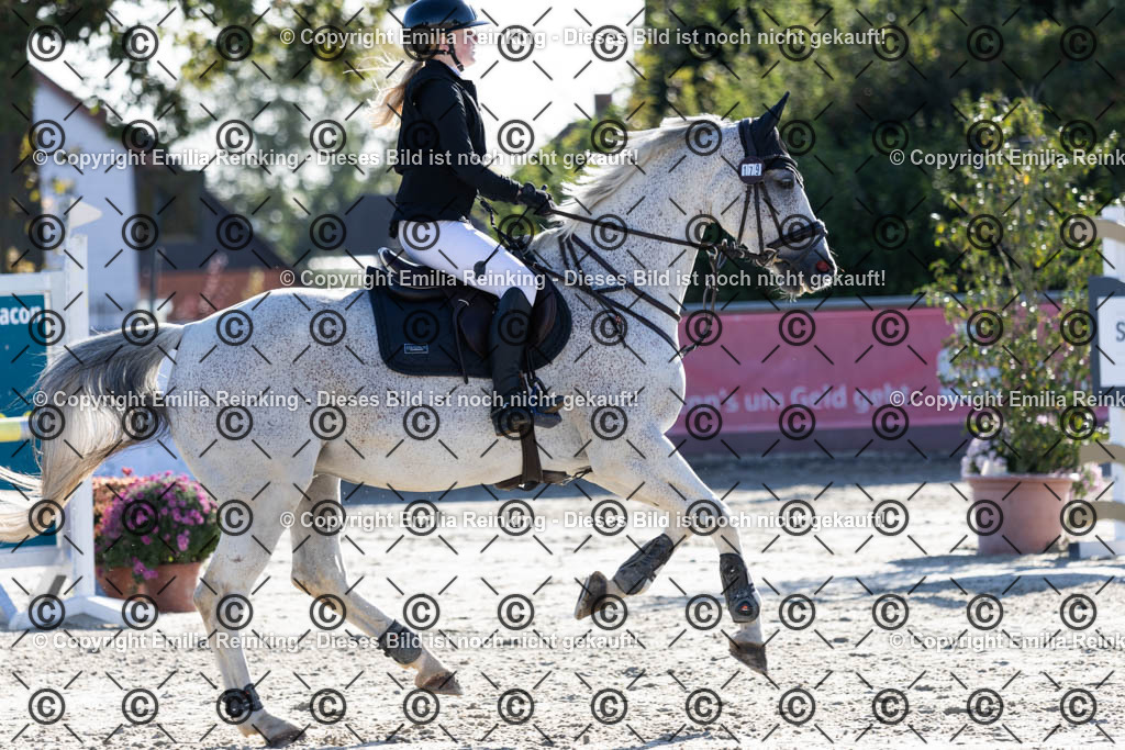 CL5A1140 | Emilia Reinking Fotografie - Realisiert mit Pictrs.com