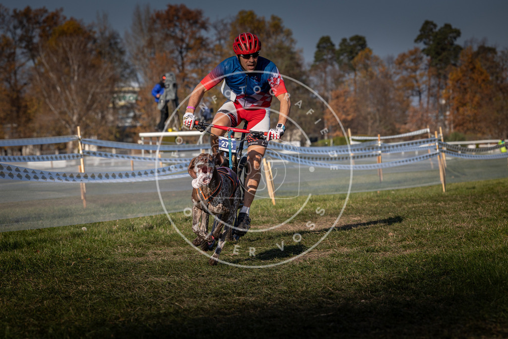 CaniXpix_0L8A6682 | Hundefotografie, Tierfotograf, Pfotenfotografie, Fotoshooting Hund, Hunde Portrait, Hundesport, Hundeportraits, Heideshooting, Hunde, Sportfotograf, Hundefotograf, Turnierhundsport, THS,  - Realisiert mit Pictrs.com