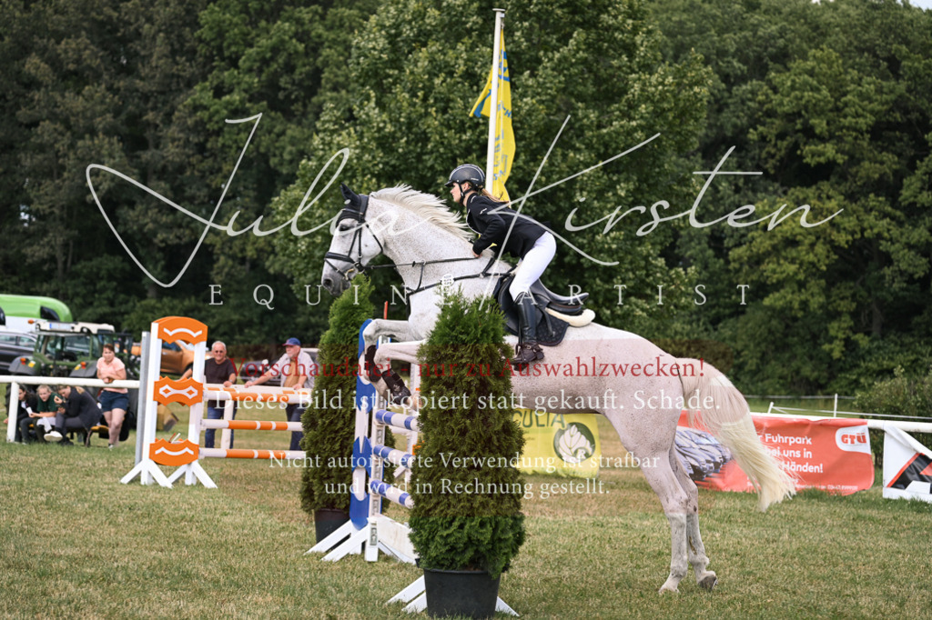 DSC_0979 | Pferde- und Turnierfotografie in Westsachsen. Pferdeportraits, Auftragszeichnungen und intuitive Kunst.