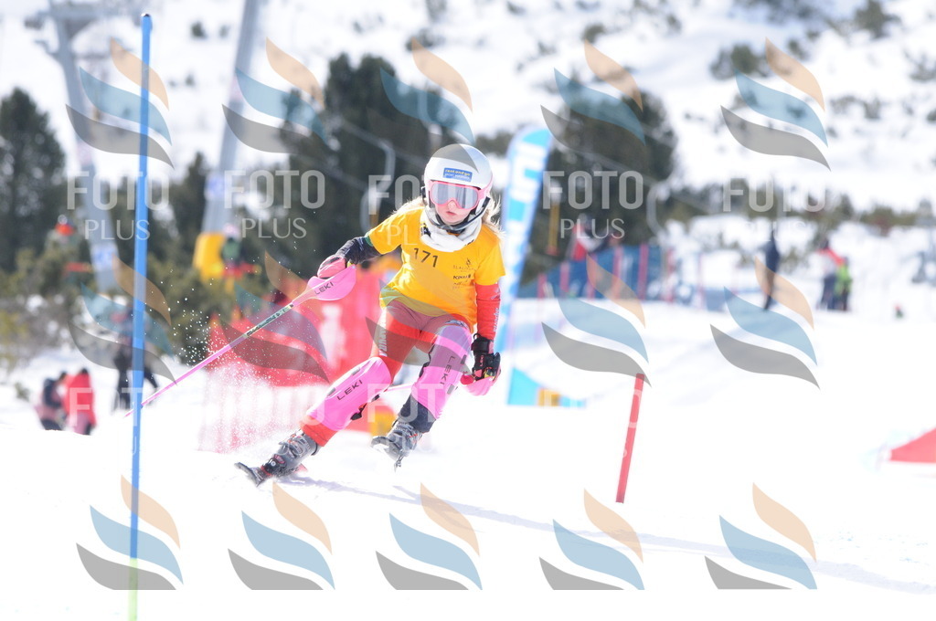 C7382 | holidayphoto