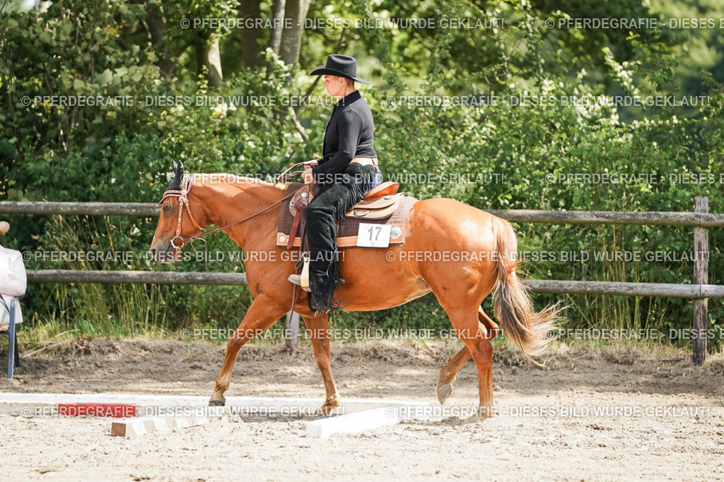 DSC06089 | Pferdegrafie