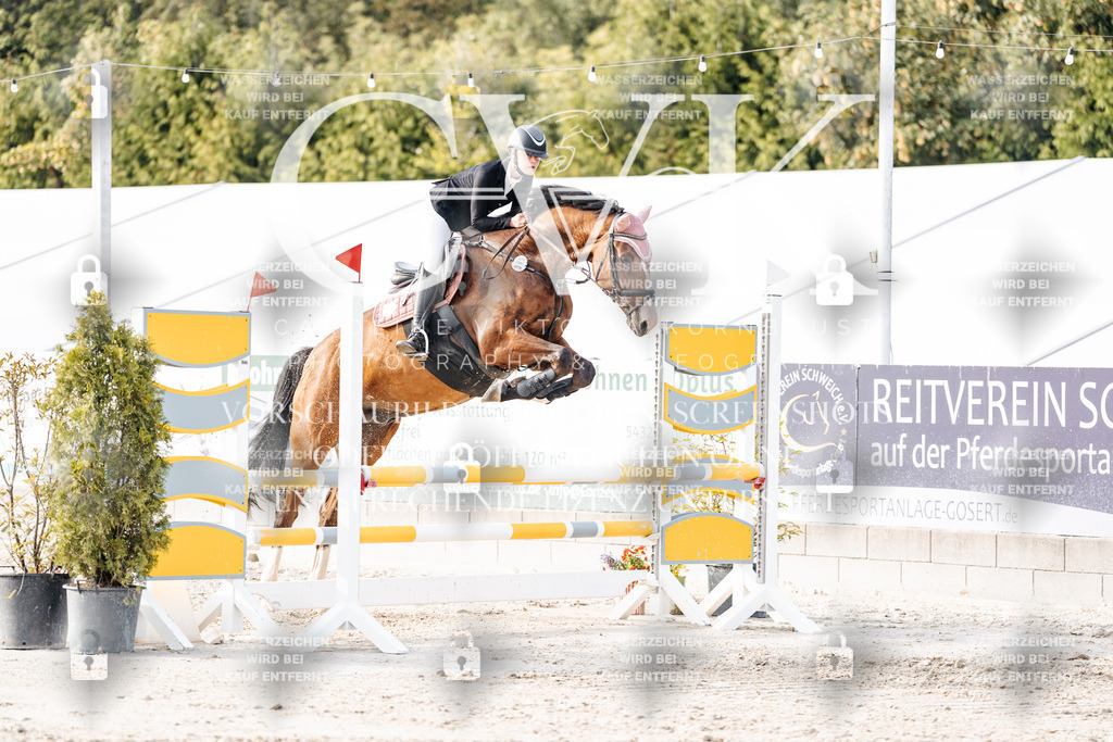 CK906785 | Turnierfotografie Pferdefotografie Trier Rheinland-Pfalz Pferdesport Reitsport Tierfotografie Sportfotografie Pferdevideo Pferdevideografie Equestrianvideography equestrianphotography  - Realisiert mit Pictrs.com