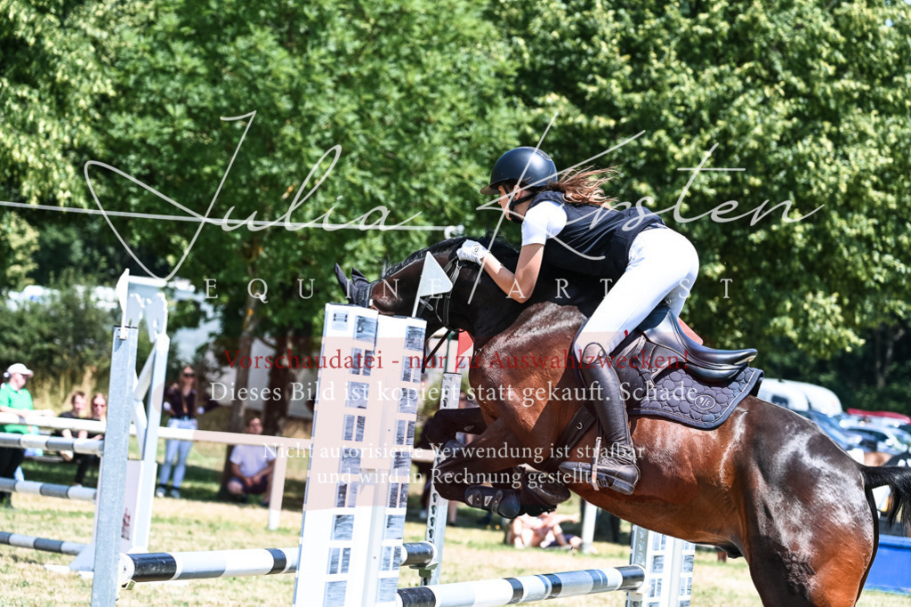 DSC_9984 | Pferde- und Turnierfotografie in Westsachsen. Pferdeportraits, Auftragszeichnungen und intuitive Kunst.