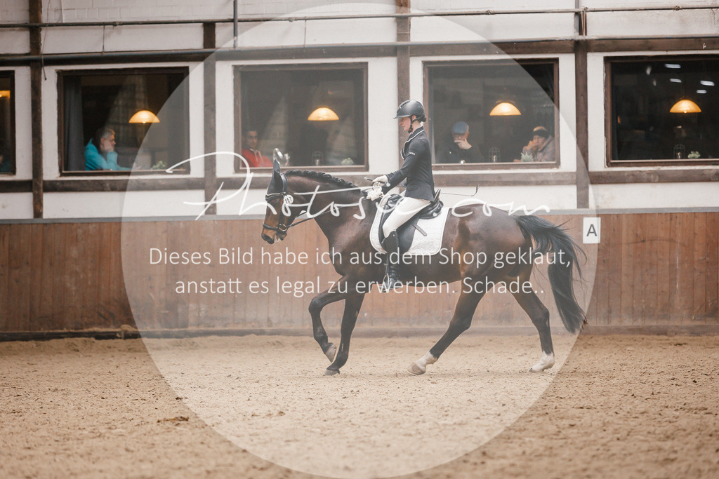 3I6A7804 | Stimmungsvolle Portraits und Reitsportfotografie im Ruhrgebiet und im Münsterland.

Pferdefotografie, Hundefotografie, Tierfotografie, Reportagen, Portraits von Tier und Mensch, Turnierfotografie in Bochum, Recklinghausen, Marl, Haltern am See, Dülmen.. - Realisiert mit Pictrs.com