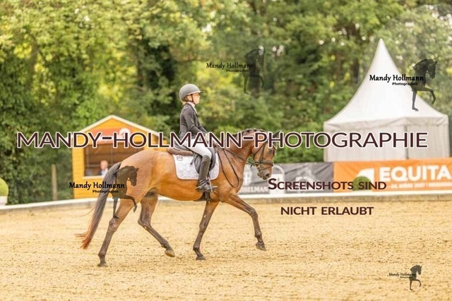 28-8-26 5j DRE-738 | mandyhollmannphotographie