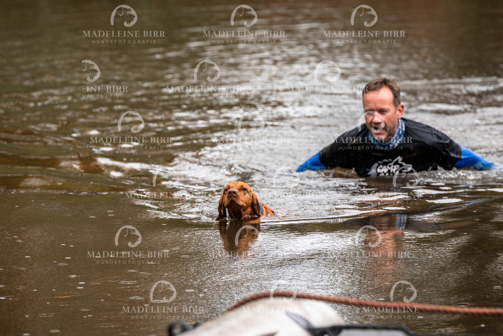 madeleinebirr-fotografie2025.campcanis.11-12Uhr-152 | hundefotografie-birr