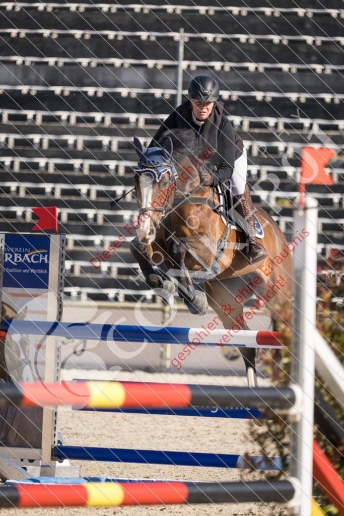 IMG_2896 | Sport-, Event- und Tierfotos in Profiqualität. Einfach auswählen, bestellen und herunterladen. Dein Moment – perfekt festgehalten.