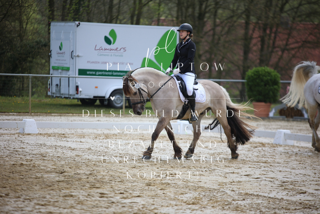 IMGT3360 | pl-fotografie