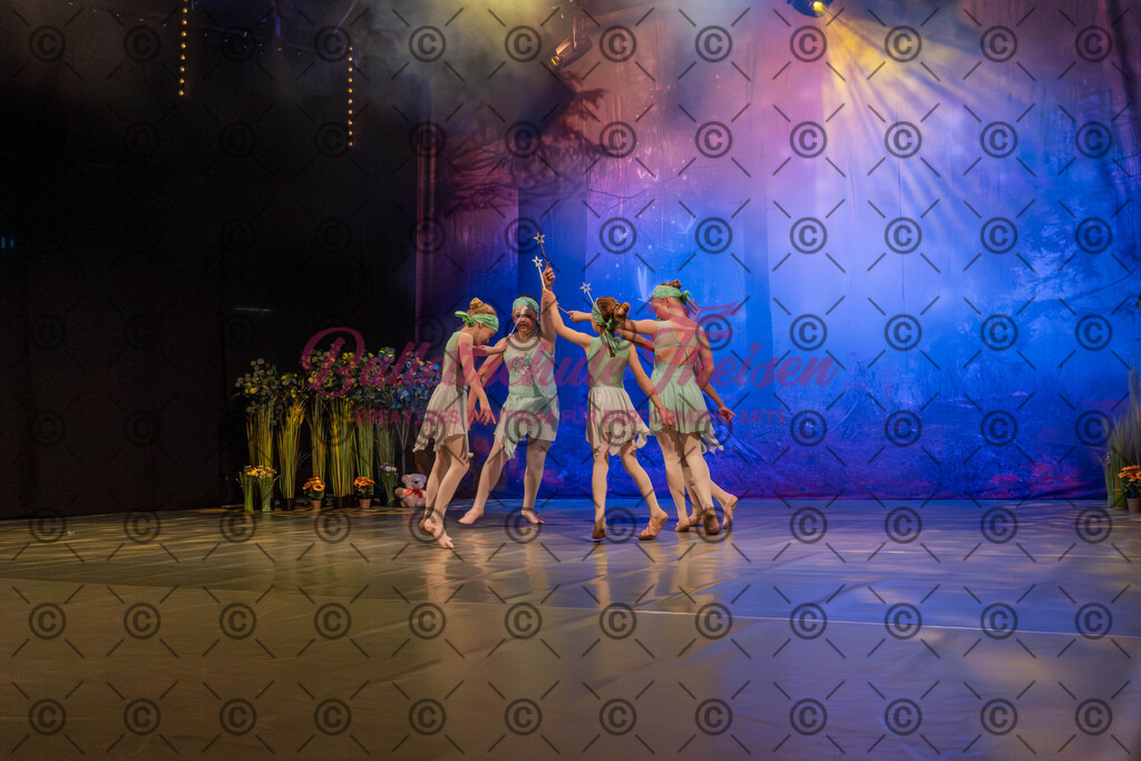 Ballettaufführung-875 | Bildershop Lem'n Entertainment - Realisiert mit Pictrs.com