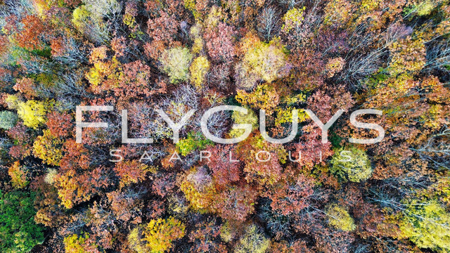 D073BF7B-F9B9-42F0-9926-A5D8699F012F | FlyGuys Saarlouis - Realisiert mit Pictrs.com