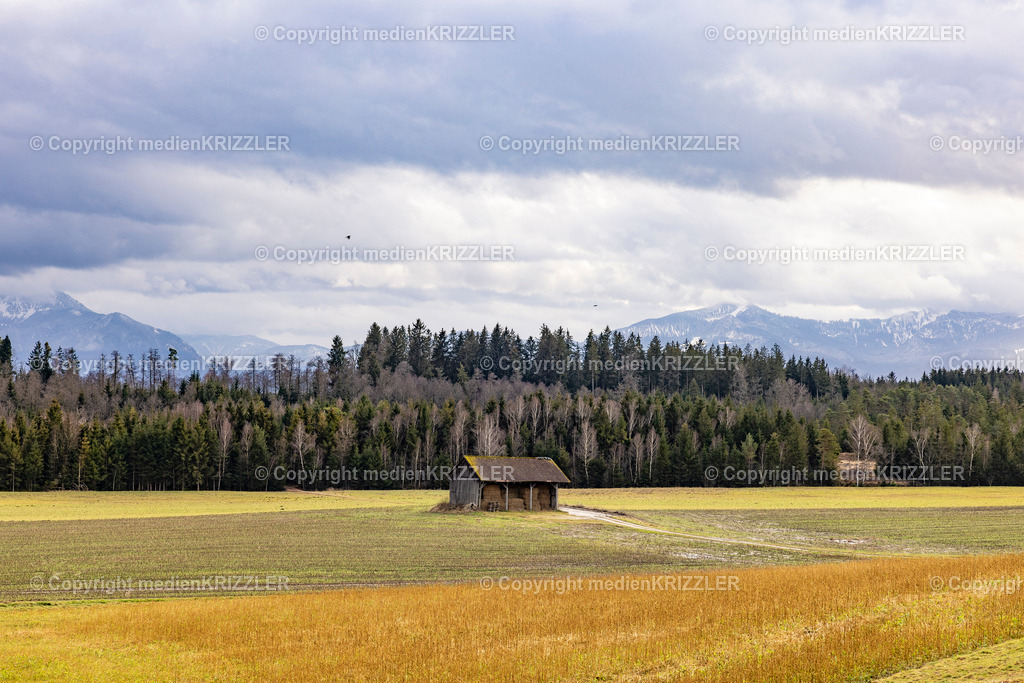 _J3A9889 | medienkrizzler - Realisiert mit Pictrs.com