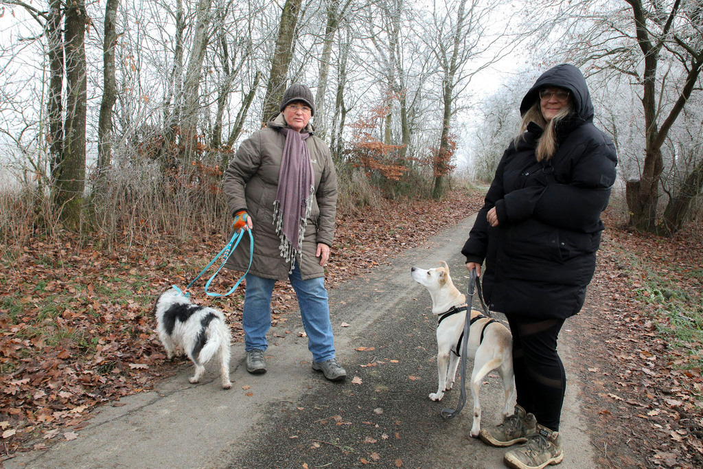 Raureif_Weisten_101222_19 | Bildergalerie von Sport-Ereignissen aber auch von weiteren spannenden Dingen - nicht nur vom Niederrhein. In Anlehnung an den bekannten Spruch von Hanns Dieter Hüsch heißt das Motto: "Niederrhein ist überall".  - Realisiert mit Pictrs.com