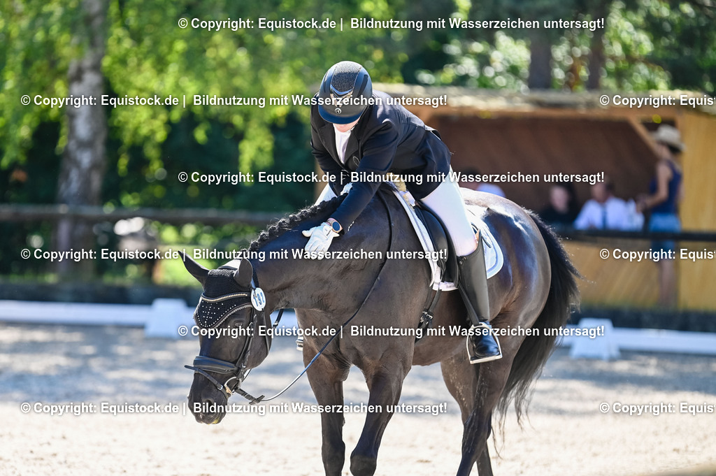 20230908_06_Dressur-L-Trense_0731 | equistock