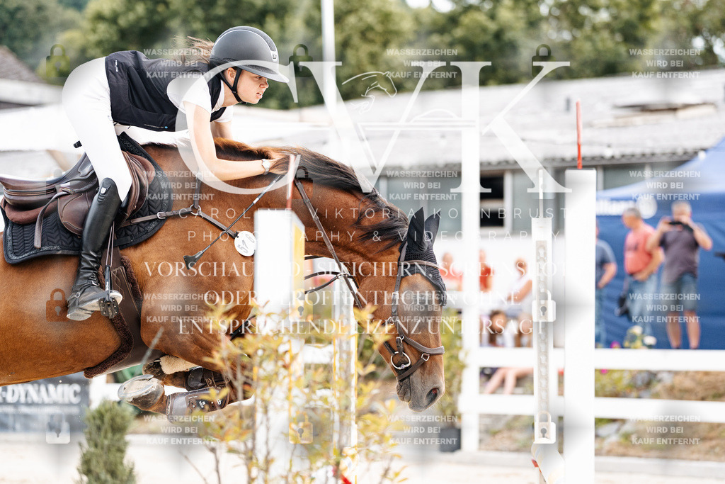 CK902295 | Turnierfotografie Pferdefotografie Trier Rheinland-Pfalz Pferdesport Reitsport Tierfotografie Sportfotografie Pferdevideo Pferdevideografie Equestrianvideography equestrianphotography  - Realisiert mit Pictrs.com