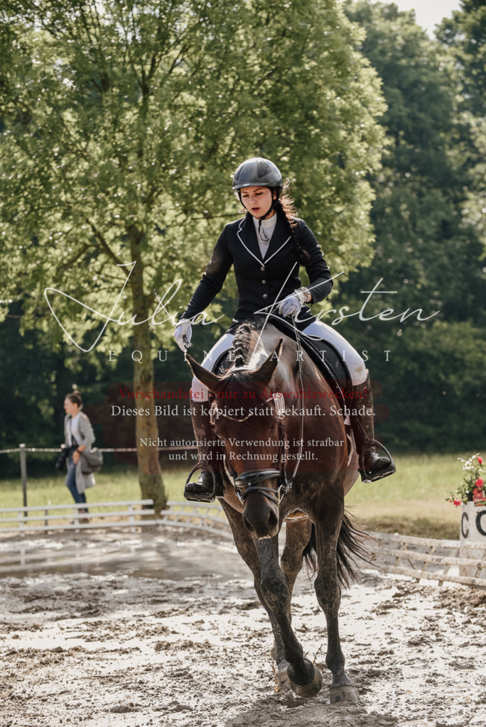 DSC_8703 | Pferde- und Turnierfotografie in Westsachsen. Pferdeportraits, Auftragszeichnungen und intuitive Kunst.