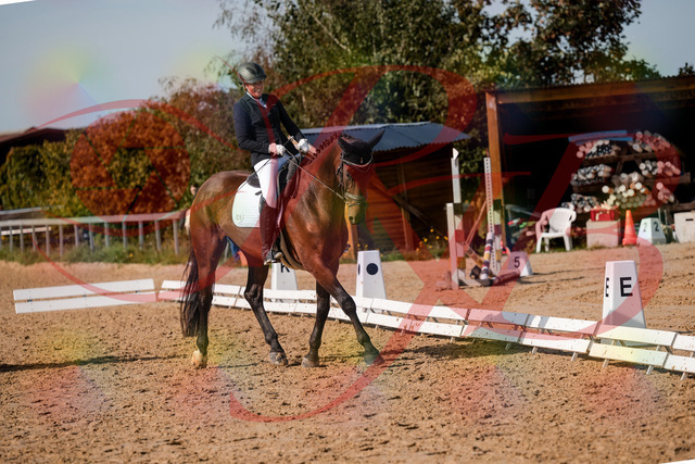 2026_10_03_Siefer-Hof_130419_Z63_66938893 | Professionelle Reitsport-, Turnier- und Eventfotografie von Robert Broda. Galerien mit ausgewählten und bearbeiteten Bildern direkt online ansehen und bestellen.