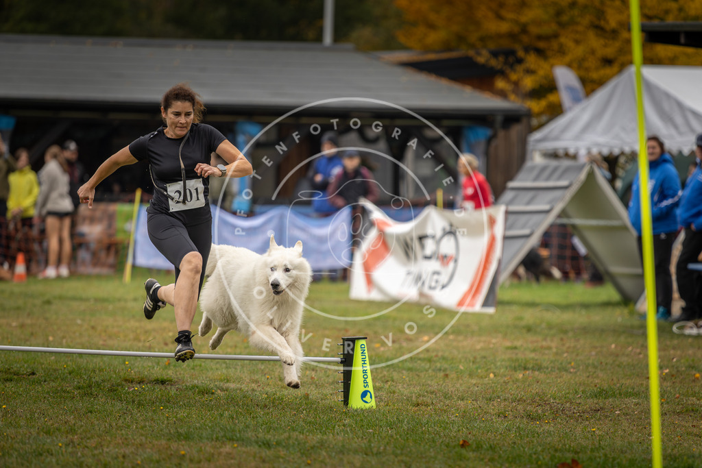 Pfotenfotografie_DV3A1595 | Hundefotografie, Tierfotograf, Pfotenfotografie, Fotoshooting Hund, Hunde Portrait, Hundesport, Hundeportraits, Heideshooting, Hunde, Sportfotograf, Hundefotograf, Turnierhundsport, THS,  - Realisiert mit Pictrs.com