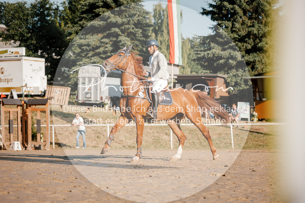 3I6A6082 | Stimmungsvolle Portraits und Reitsportfotografie im Ruhrgebiet und im Münsterland.

Pferdefotografie, Hundefotografie, Tierfotografie, Reportagen, Portraits von Tier und Mensch, Turnierfotografie in Bochum, Recklinghausen, Marl, Haltern am See, Dülmen.. - Realisiert mit Pictrs.com