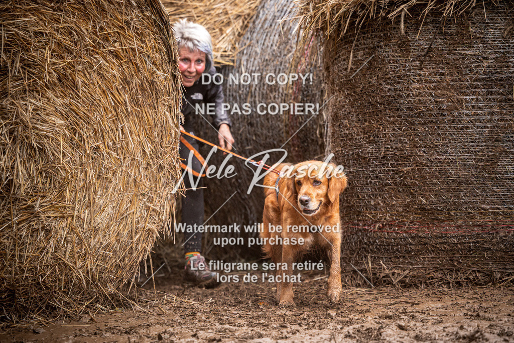 nelerasche_Hunsrück_So09-11_11 | nelerasche