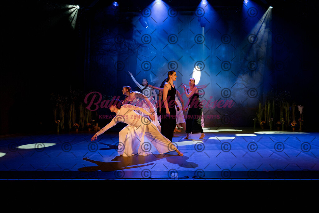 Ballettaufführung-162 | Bildershop Lem'n Entertainment - Realisiert mit Pictrs.com