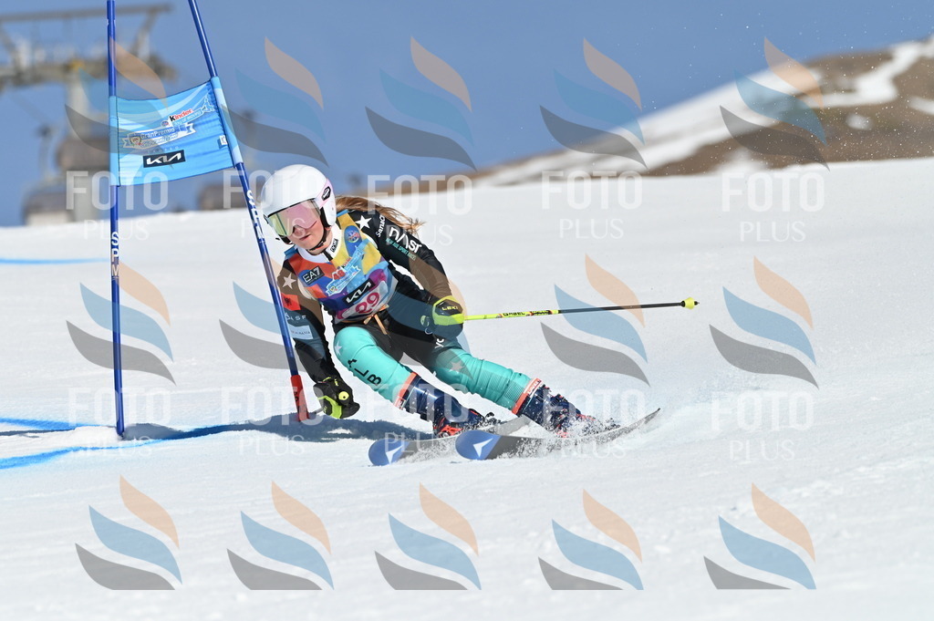 BGV_8139 | holidayphoto