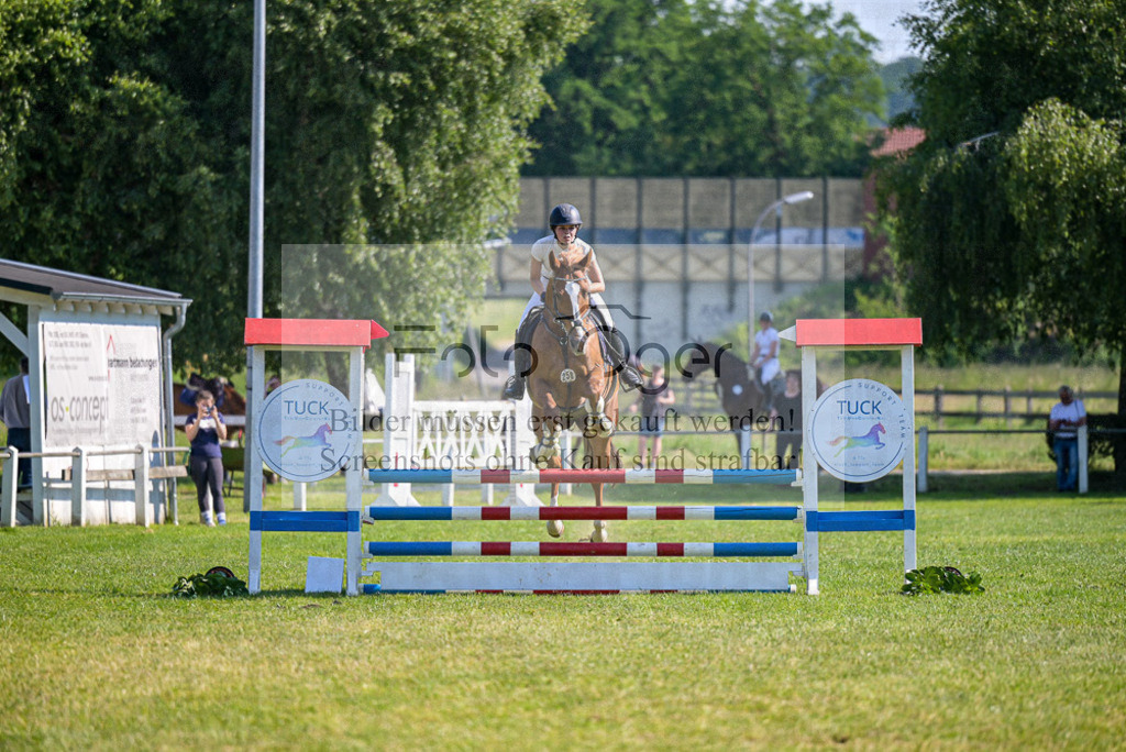 Reitturnier Voxtrup | Entdecke hochwertige Reitturnierfotos von Foto Oger. Professionell, emotional und authentisch – jetzt Lieblingsmomente im Shop bestellen.Deutschlandweite Turnierfotografie. - Realisiert mit Pictrs.com