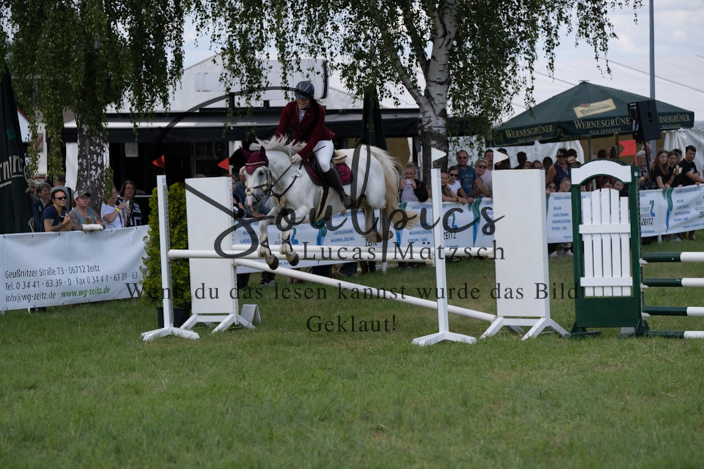 A7V04414 | Pferdefotograf