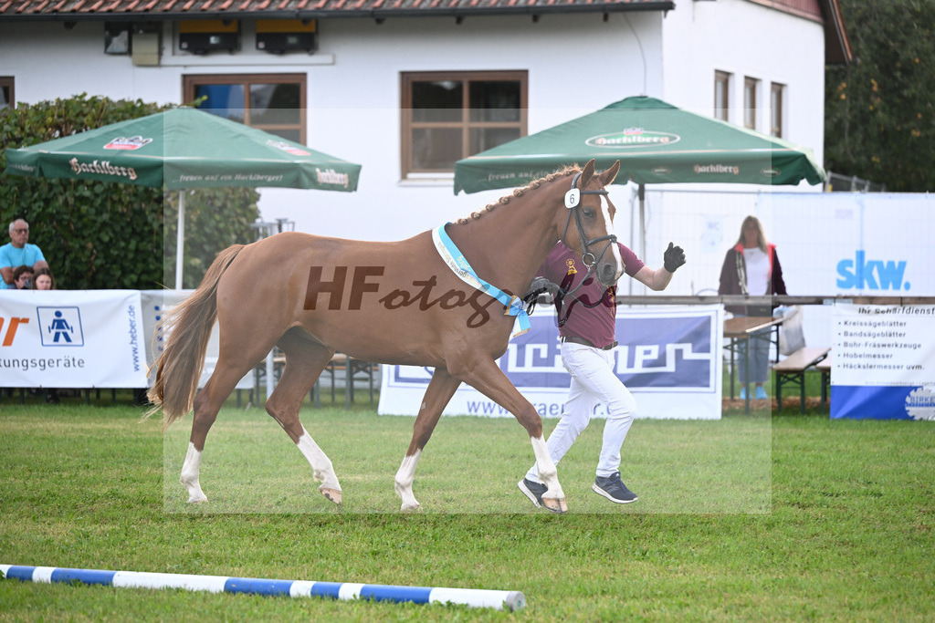 Kat-Nr. 6 Electric Fire v. Zinedream_Bauer_30250183 | hf-fotografie - Realisiert mit Pictrs.com