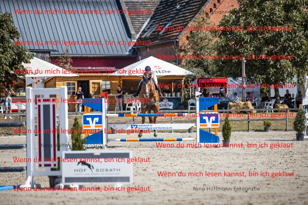 BK1A6989 | Turnierbilder Turnierfotos Nina Hüffmann Turnierfotografie Pferdefotografie Tierzeichnung Haustierzeichnung Pferdezeichnung Hundezeichnung Videograf  - Realisiert mit Pictrs.com