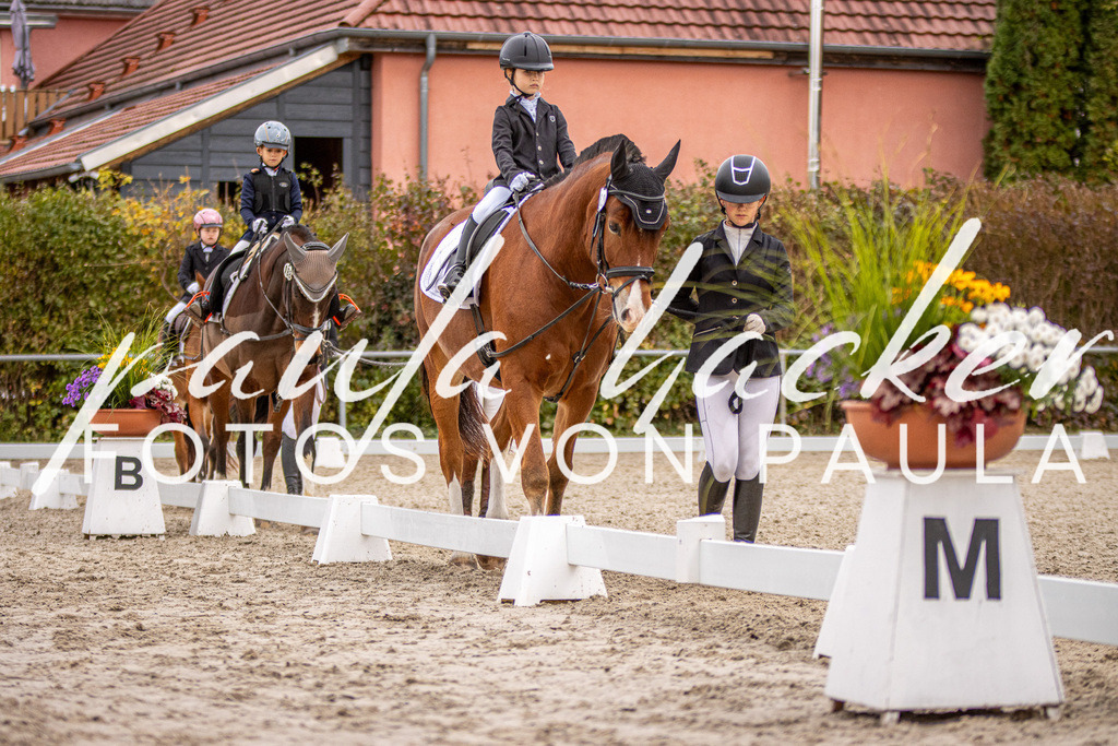 IMG_3981 | Erleben Sie dynamische Sport- und emotionale Tierfotografie in Süddeutschland mit Fotos von Paula. Spezialisiert auf Pferde- und Hundefotografie sowie Sportevents. Kontaktieren Sie mich für einzigartige und ausdrucksstarke Bilder Ihrer besonderen Momente. - Realisiert mit Pictrs.com