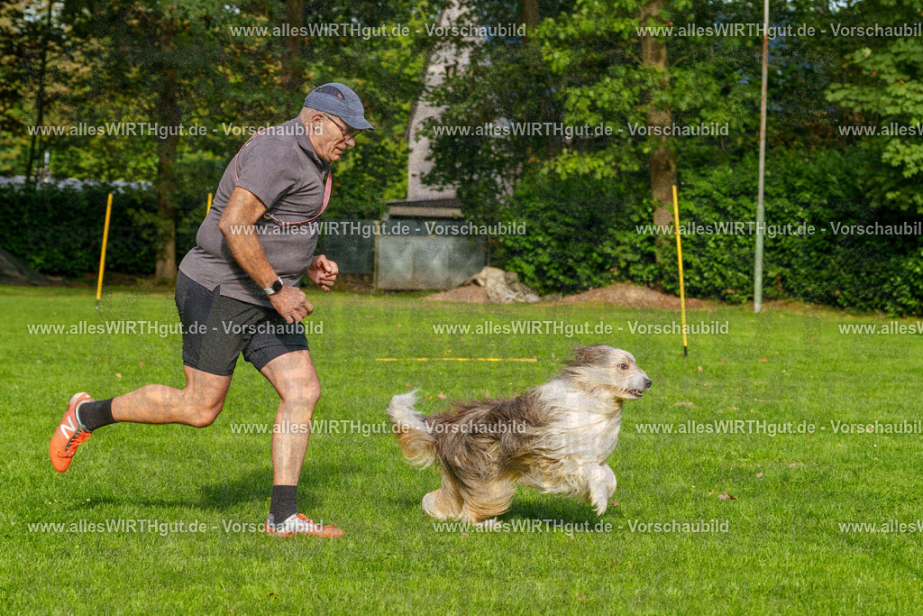 THS_Turnier_27-09-2026-allesWIRTHgut_Tierfotografie-7R506379 | Professionelle Tierfotografie in Mönchengladbach von Daniel Wirth (allesWIRTHgut). Liebevolle & natürliche Bilder von Hunden & Katzen für unvergessliche Erinnerungen.