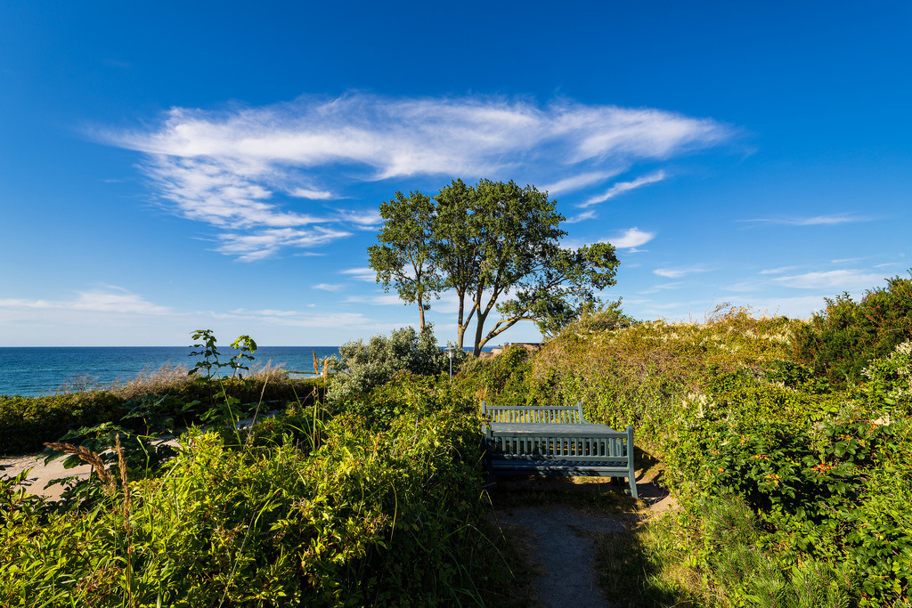 Baum und Sitzbank an der Küste der Ostsee in Ahrenshoop auf dem Fischland-Darß | Baum und Sitzbank an der Küste der Ostsee in Ahrenshoop auf dem Fischland-Darß.